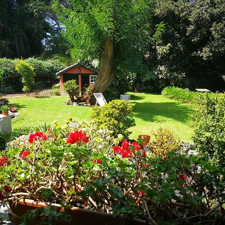 Jardines De Hortensia - Vacation Home Tenerife La Laguna  Exterior foto