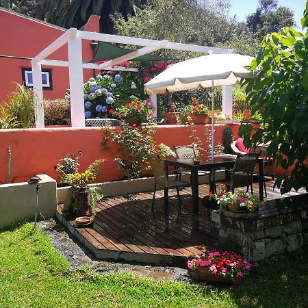 Jardines De Hortensia - Vacation Home Tenerife La Laguna  Exterior foto