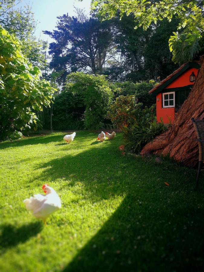 Jardines De Hortensia - Vacation Home Tenerife La Laguna  Exterior foto