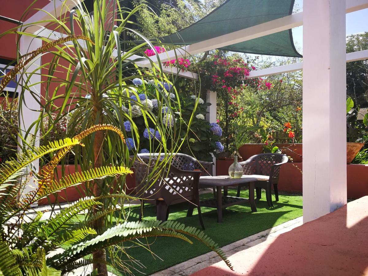 Jardines De Hortensia - Vacation Home Tenerife La Laguna  Exterior foto
