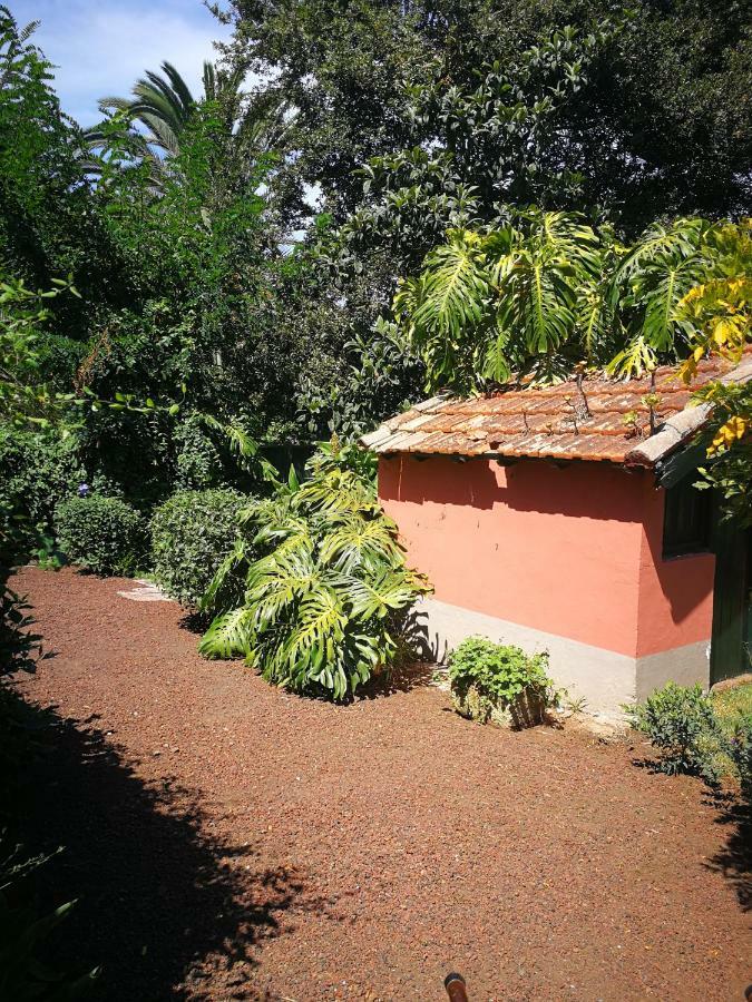 Jardines De Hortensia - Vacation Home Tenerife La Laguna  Exterior foto