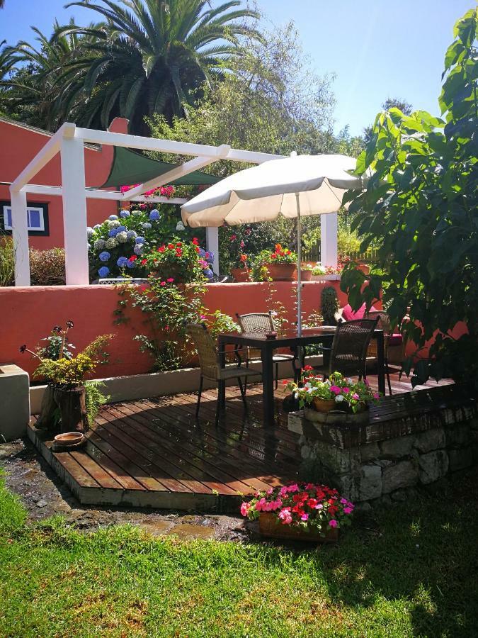 Jardines De Hortensia - Vacation Home Tenerife La Laguna  Exterior foto