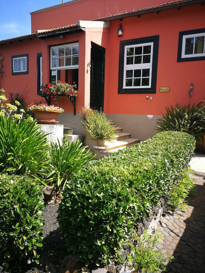 Jardines De Hortensia - Vacation Home Tenerife La Laguna  Exterior foto